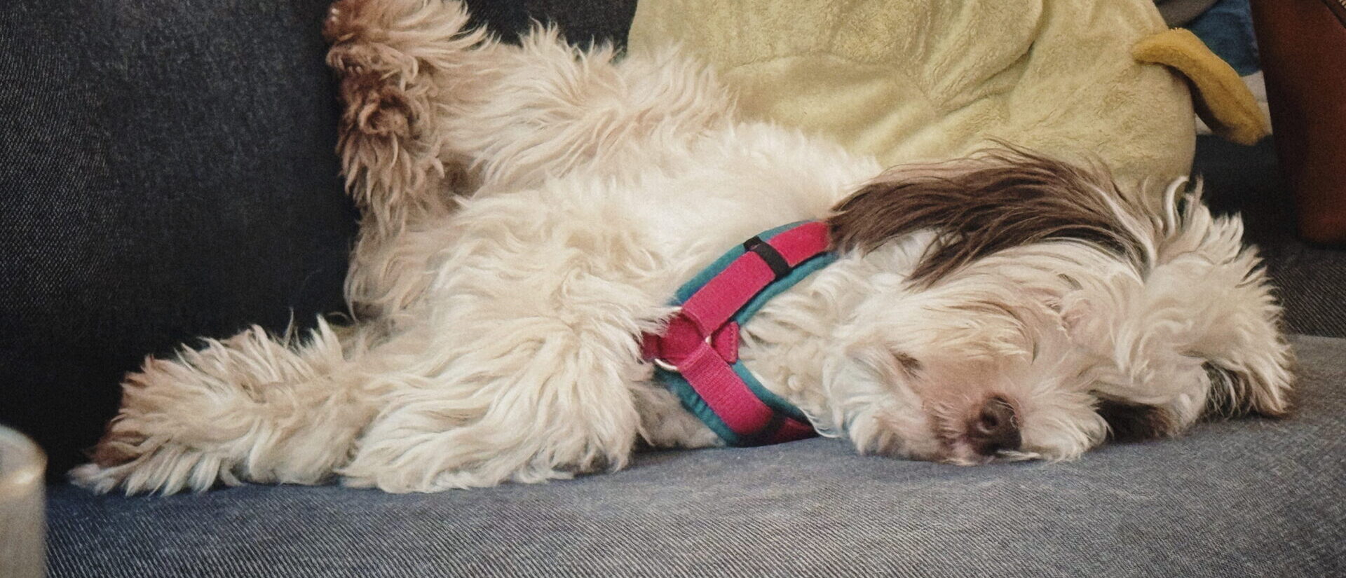 #08: Gute Sofas, schlechte Sofas