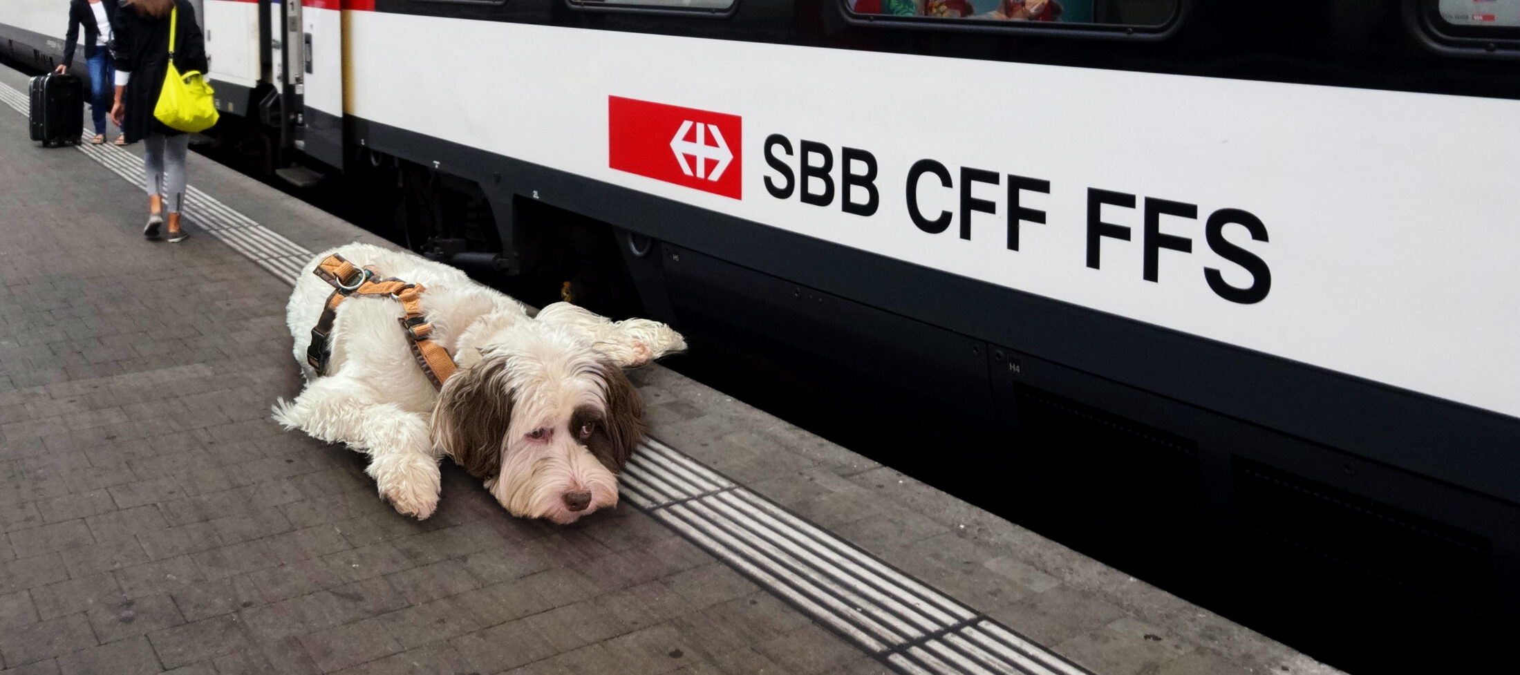 Titelbild: „Basel: SBB CFF FFS Train“ von harry_nl, Modifikationen: Grafikmontage, Farbkorrektur ist lizenziert unter CC BY-NC-SA 2.0