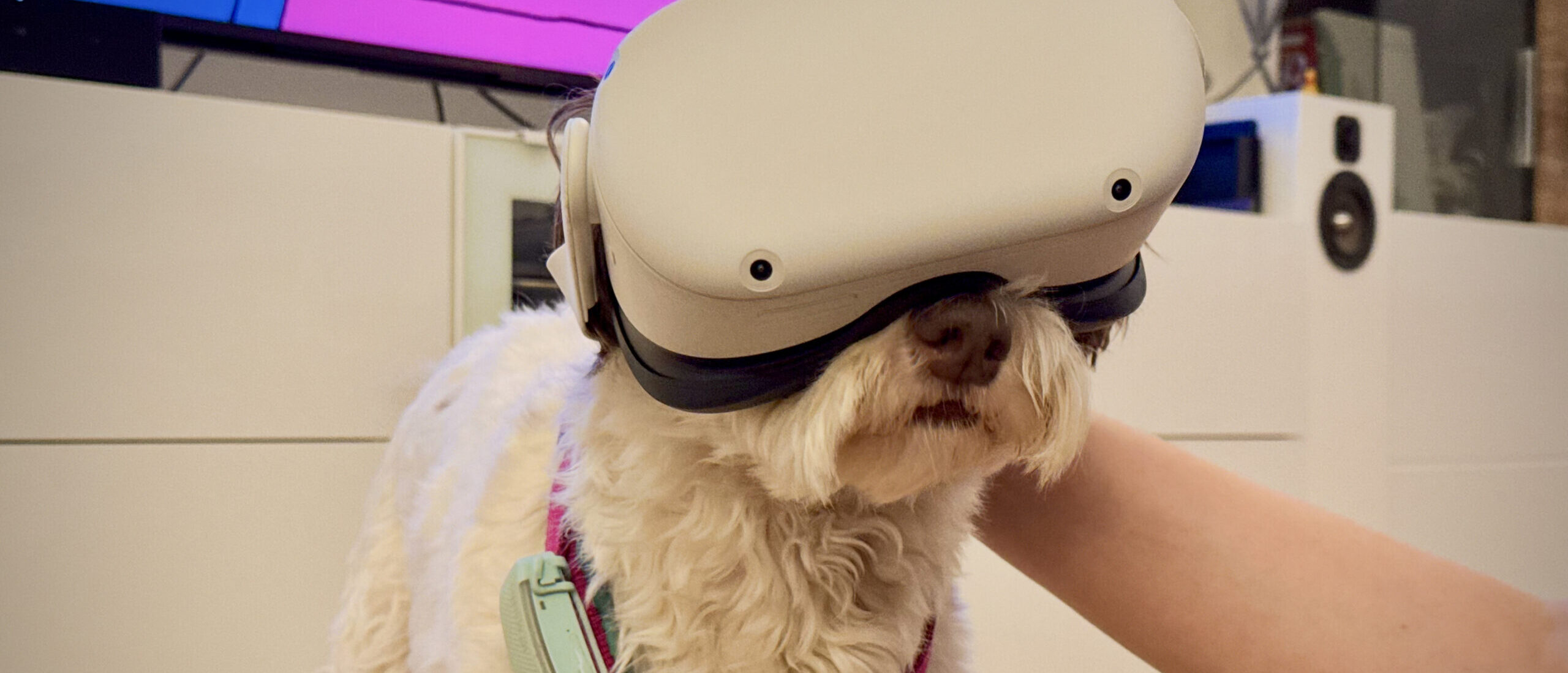 #12: W*chsen mit VR-Brillen